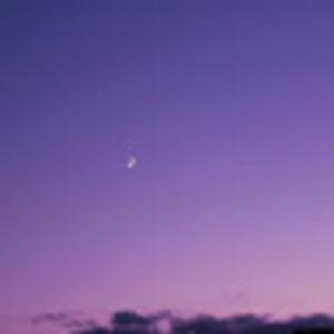 Meet your Posher, Austin